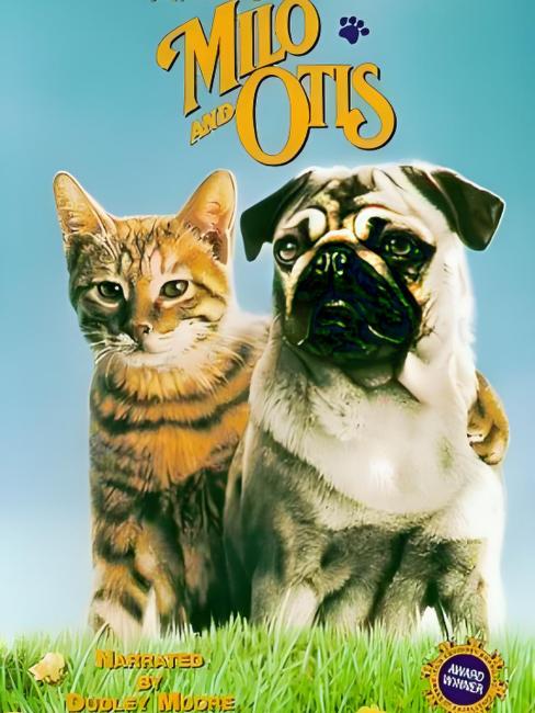 子猫物語（日本で1986年に畑正憲が監督したファミリー映画。）_百度百科