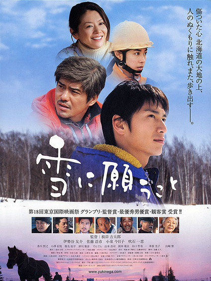 雪に願うこと 日本版B2ポスター 雪に願うこと_百度百科