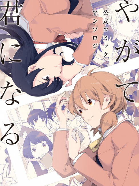 【会場限定品】　やがて君になる　やが君　仲谷鳰　百合　漫画　会場限定 会場限定品】 やがて君になる やが君 仲谷鳰 百合 漫画 会場限定