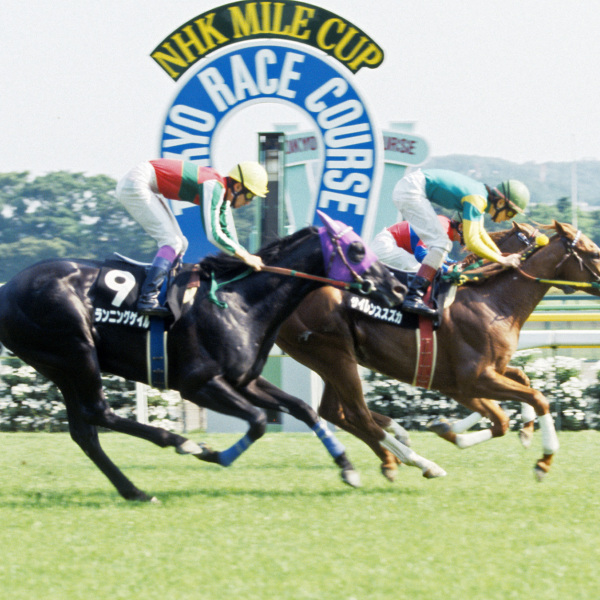 サイレンススズカ（1994年生まれの日本の競走馬）_百度百科