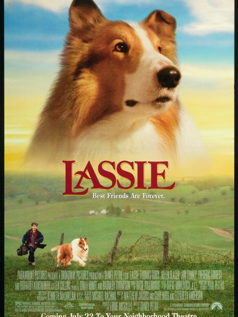 名犬ラッシー シーズン18