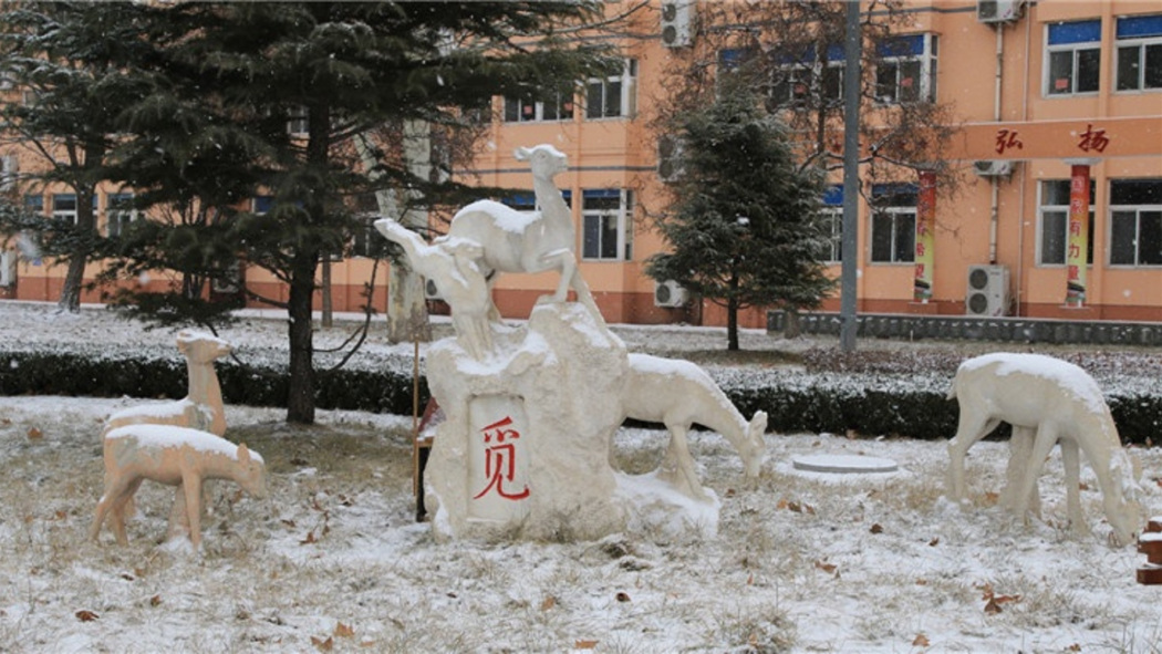 河北省武邑中学校_百度百科