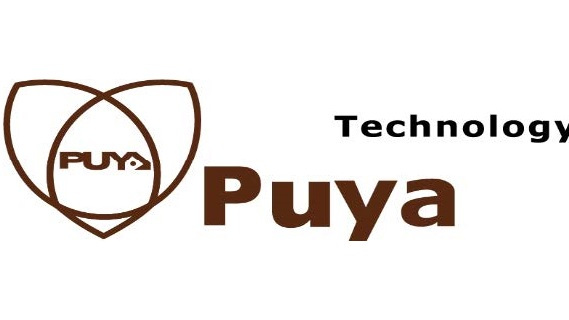 Purain Semiconductor (Shanghai) Co., Ltd._Baiduwiki