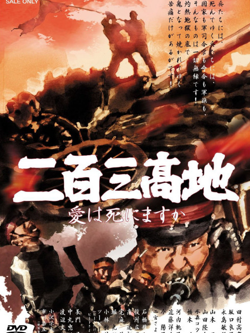 二百三高地_百度百科