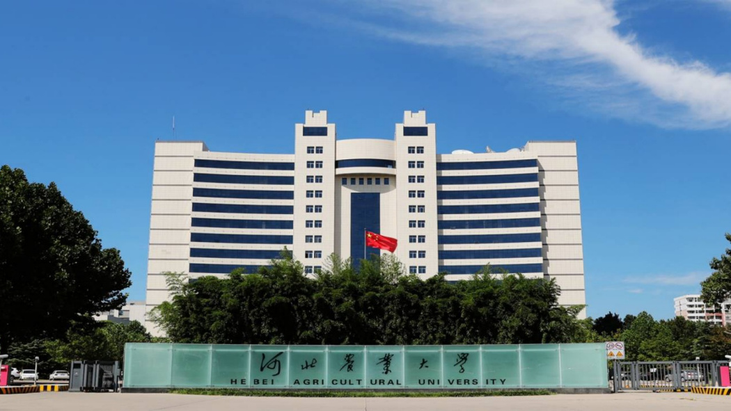 Hebei Agricultural University（A public university located in Baoding ...