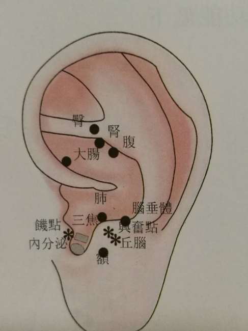 耳介点_百度百科