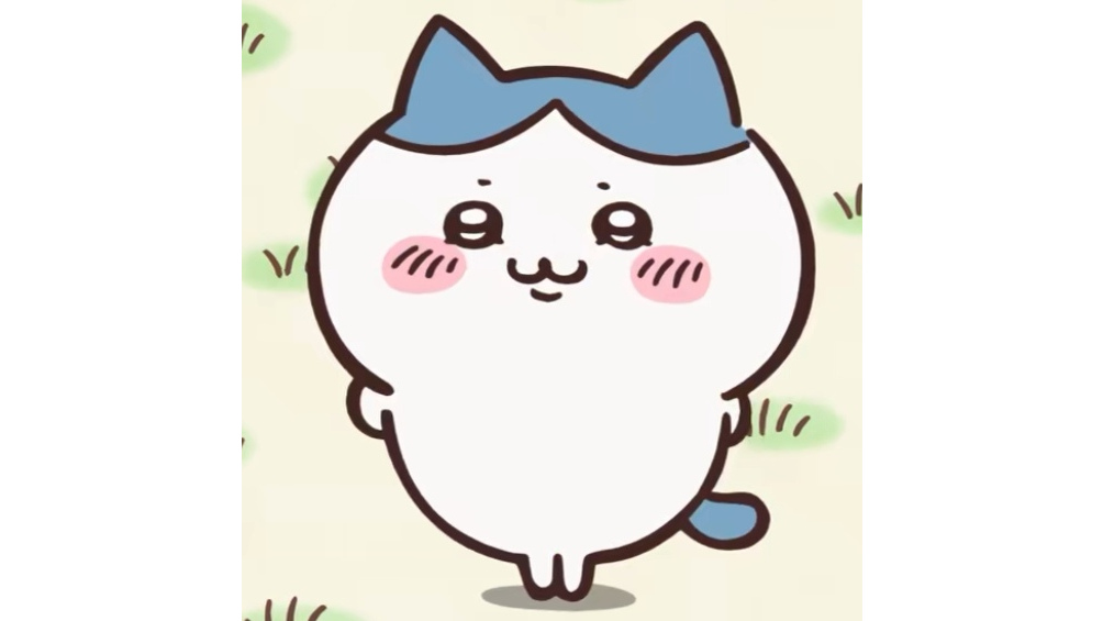 Hachiware（A character in the Japanese manga *Chiikawa* and its