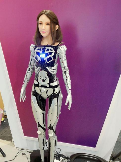 Sex robot_Baiduwiki