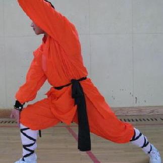洪拳_百度百科