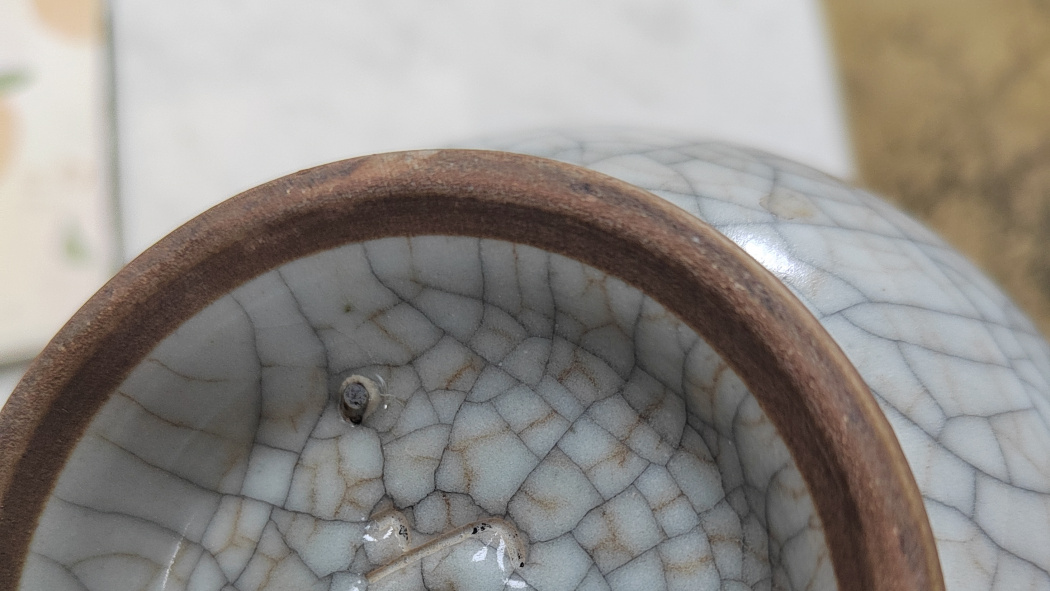 金絲鉄線_百度百科