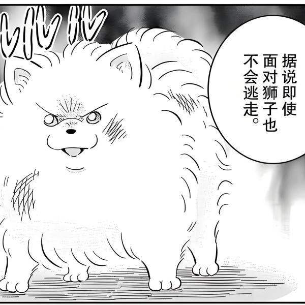 ポメ太郎_百度百科