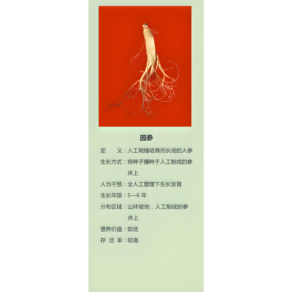 野山参_百度百科