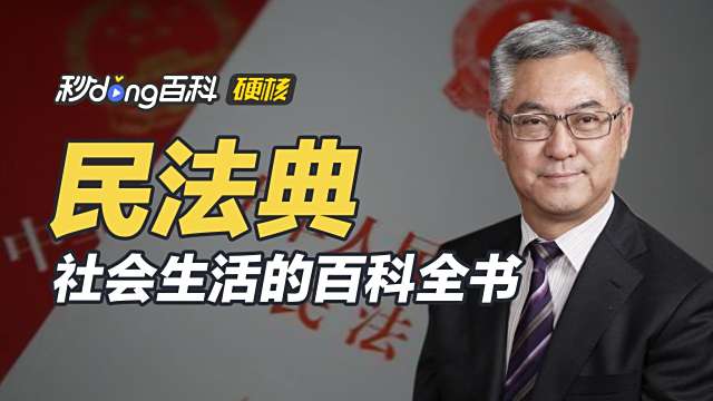 民法典_百度百科
