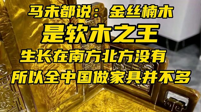 金糸楠（クスノキ科フェーベ属の植物）_百度百科