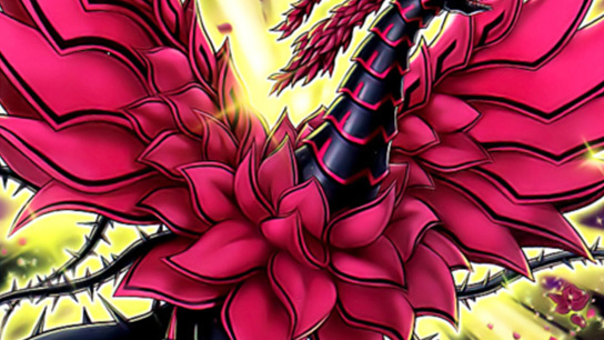 月華竜 ブラック・ローズ_百度百科
