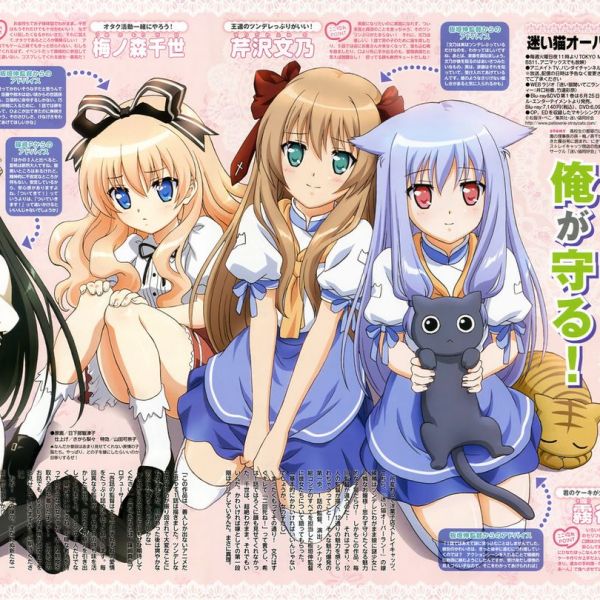 迷い猫オーバーラン！_百度百科