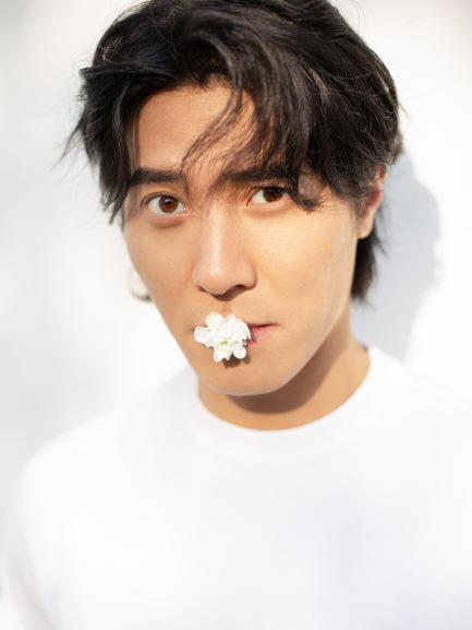 Gan Lin（Mainland Chinese male actor）_Baiduwiki