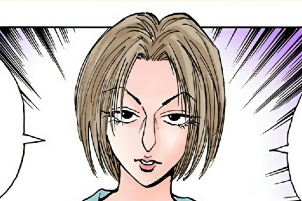 Phantom Troupe_Baiduwiki