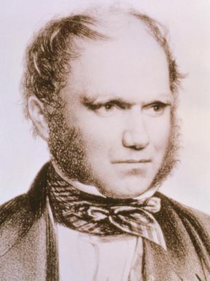Charles Robert Darwin（British biologist, founder of the Theory of ...