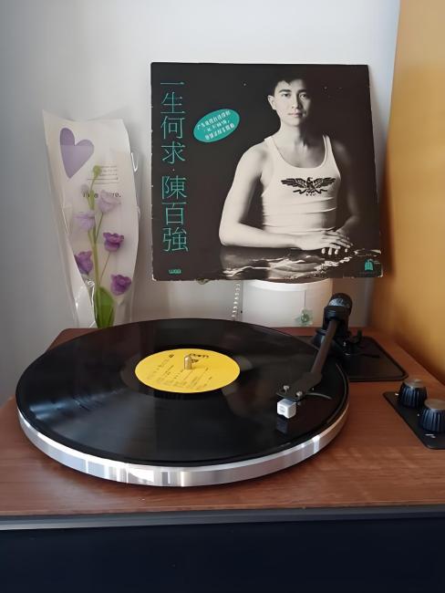 Danny Chan（Hong Kong Chinese male singer, musician, host, and actor ...