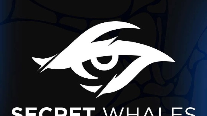TSW（A League of Legends professional team in the Vietnam region.）_Baiduwiki