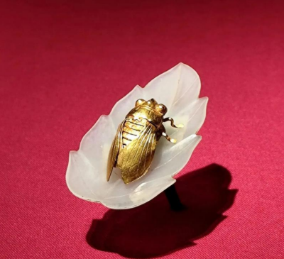 明金蝉玉玉葉_百度百科