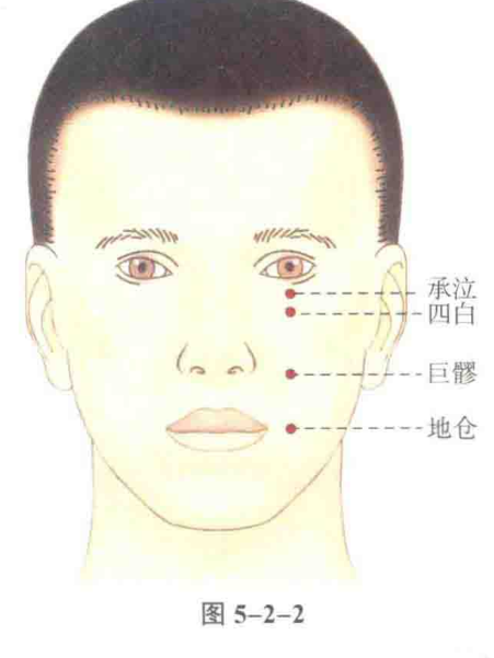 Chengqi（Acupoint of the human body）_Baiduwiki