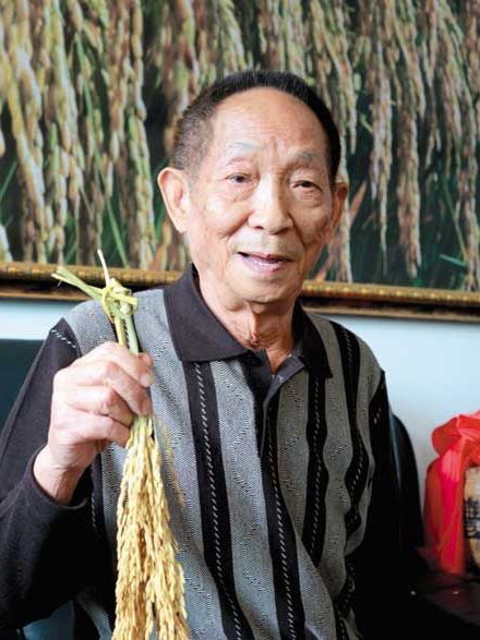 hybrid rice_Baiduwiki