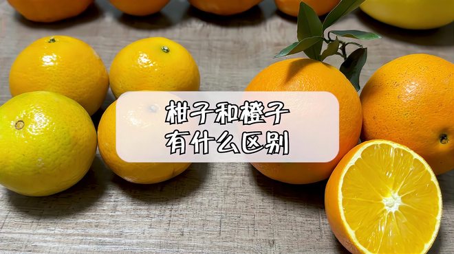 カンキツ_百度百科