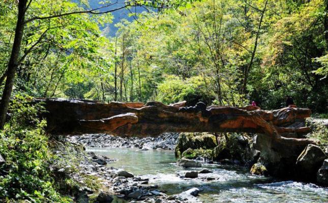 Tianshu Gorge（A scenic spot located in Pingli County, Ankang City ...