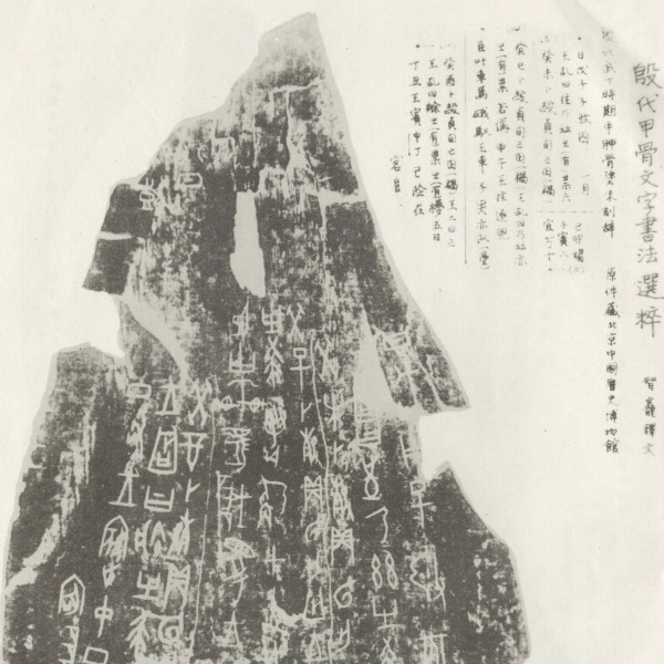 甲骨文字（古代中国の文字）_百度百科