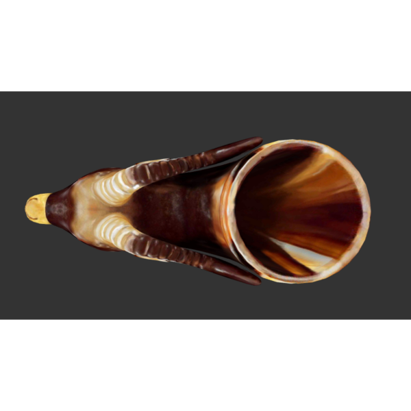 唐の獣首瑪瑙杯_百度百科