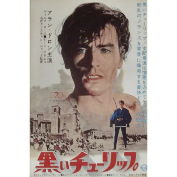黒いチューリップ（フランス、イタリア、スペインの1964年の