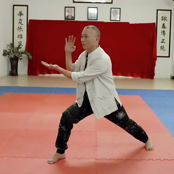 洪拳（湛江洪拳）_百度百科