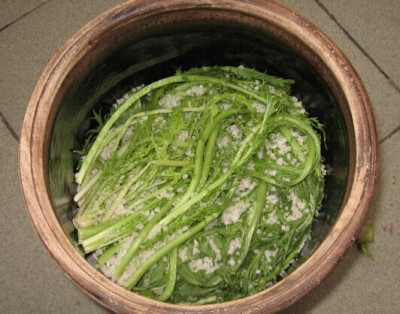 Pickled Snow Cabbage_Baiduwiki