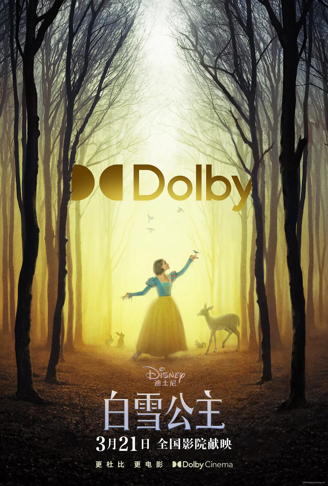 白雪姫（ドイツ、アメリカ2025年マーク・ウェブ監督の恋愛映画）_百度百科
