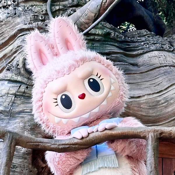 モココ_百度百科