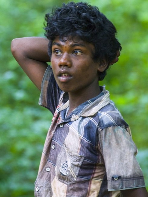 Australoid（A category of human population that shares common genetic ...