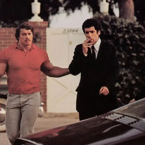 ロング・グッドバイ（アメリカの1973年のロバート・アルトマン監督