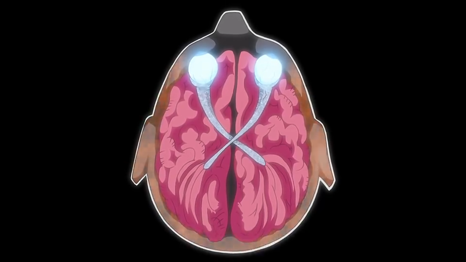 まんげきょうしゃりんがん_百度百科