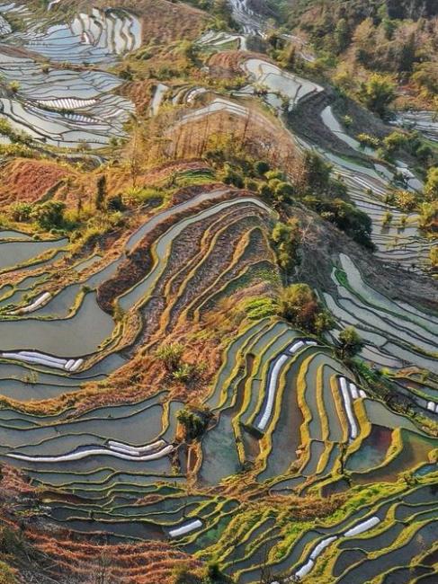 Laohuzui Rice Terraces_Baiduwiki
