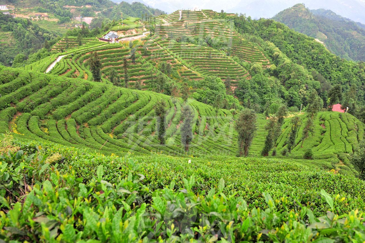 Yiling District_Baiduwiki