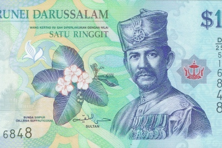 ブルネイ・リンギット_百度百科