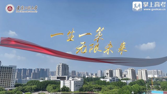 Anhui Polytechnic University（a public institution of higher education ...