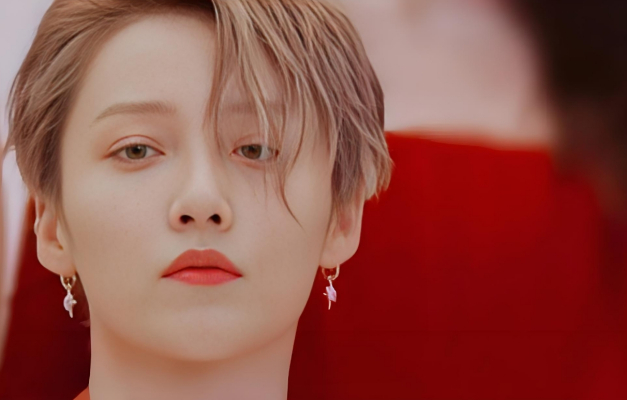 Xin Liu（Chinese mainland female singer and dancer）_Baiduwiki
