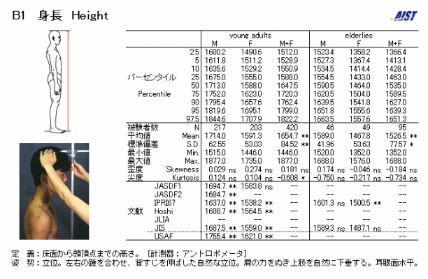 Head-to-Body Ratio_Baiduwiki