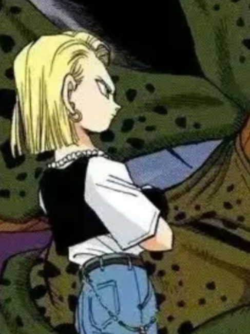 Android 18（A character from the Japanese manga *Dragon Ball* and its ...