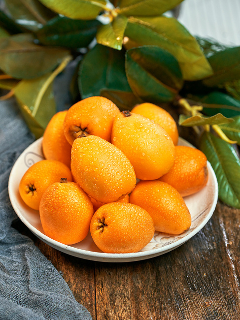 Loquat（A plant in the order Rosales and family Rosaceae.）_Baiduwiki