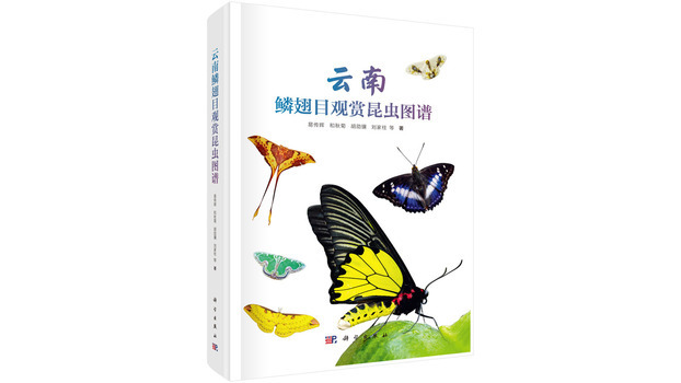 80cb39dbb6fd5266d0165445cd4580