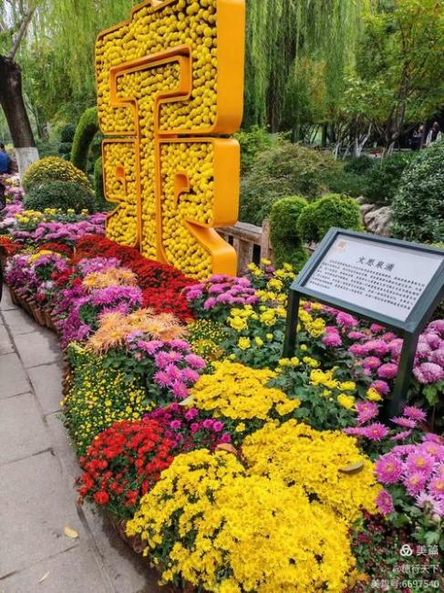 Baotu Spring Golden Autumn Chrysanthemum Exhibition_Baiduwiki